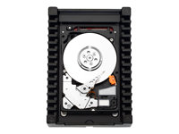 WD VelociRaptor WD2500BHTZ - Hårddisk - 250 GB - inbyggd - 2.5" - SATA 6Gb/s - 10000 rpm - buffert: 64 MB WD2500BHTZ