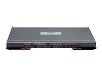 Lenovo Flex System EN4091 10Gb Ethernet Pass-thru Module - Switch - 14 x 1 Gigabit / 10 Gigabit SFP+ + 14 x 10 Gigabit Ethernet / 1 Gigabit Ethernet SFP+ - insticksmodul 88Y6043