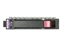 HPE Enterprise - Hårddisk - 600 GB - hot-swap - 3.5" LFF - SAS 12Gb/s - 15000 rpm - för Disk Enclosure D2600 (3.5" LFF), D6000 (3.5" LFF) 737396-B21