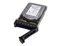 Dell - Hårddisk - 1.2 TB - hot-swap - 2.5" (i 3,5-tums hållare) - SAS 12Gb/s - 10000 rpm - för PowerVault MD3400 400-ANKN