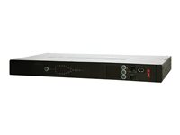 APC Rack Automatic Transfer Switch AP4423 - Redundant omkopplare (kan monteras i rack) - AC 230 V - Ethernet 10/100, RS-232, USB - utgångskontakter: 9 - 1U - svart - för P/N: SMTL1000RMI2UC, SMX1000C, SMX1500RM2UC, SMX1500RM2UCNC, SMX750C, SMX750CNC AP4423