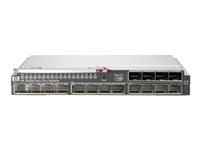 HPE 10GbE Pass-Thru Module - Switch - 16 x 10 Gigabit SFP+ - insticksmodul - för BLc3000 Enclosure; BLc3000 Single-Phase Enclosure; Integrity Superdome 2; ProLiant c3000 538113-B21