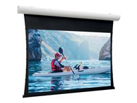 Da-Lite Tensioned Elpro Concept - Projektorduk - takmontering, väggmontering - motoriserad - 230 V - 112.99" (287 cm) - 16:9 - HD Progressive 1.3 - RAL 9016 10101178