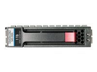 HPE Dual Port Midline - Hårddisk - 1 TB - 3.5" LFF - SAS - 7200 rpm - för Modular Smart Array 1040, 2040, P2000, P2000 3.5-in, P2000 G3 AP861A