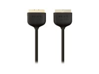 Belkin - Kabel för video / ljud - SCART hane till SCART hane - 1 m F3Y047BF1M