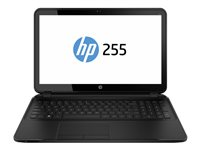 HP 255 G2 Notebook - 15.6" - AMD A4 - 5000 - AMD VISION - 4 GB RAM - 500 GB HDD F0Z52EA#UUW