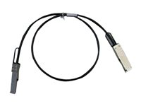 Cisco 40GBASE-CR4 Passive Copper Cable - Direktkopplingskabel - QSFP+ till QSFP+ - 1 m - dubbelaxlad - tan - för Catalyst 3016; Nexus 3016, 3064-E, 3064PQ, 3064-X QSFP-H40G-CU1M=