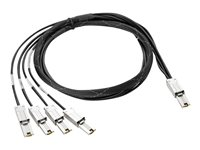 HPE - Extern SAS-kabel - 4-vägs - 26-pin 4x skärmad Mini MultiLane SAS (SFF-8088) (hane) till 26-pin 4x skärmad Mini MultiLane SAS (SFF-8088) (hane) - 2 m - för HPE MSL2024, MSL4048, MSL8096; StorageWorks MSL4048; StoreEver MSL2024, MSL4048, MSL8096 AN975A