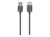 Belkin - USB-förlängningskabel - USB (hane) till USB (hona) - USB 2.0 - 3 m - träkol F3U153CP3M