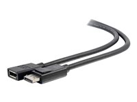 C2G 3ft DisplayPort Extension Cable - DisplayPort 1.4 - 8K UHD - M/F - DisplayPort-förlängningskabel - DisplayPort (hane) till DisplayPort (hona) - DisplayPort 1.4 - 91.4 cm - stöd för 8K 54450