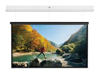 Da-Lite DescenderPro - Projektorduk - takmontering - motoriserad - 230 V - 153.2" (389 cm) - 16:10 - Matte White - RAL 9016 10101761