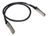 HPE Aruba - 100GBase direktkopplingskabel - QSFP28 (hane) till QSFP28 (hane) - 1 m - för HPE Aruba 8325-32C, 8325-48Y8C; CX 8360-48XT4C v2 R9F77A