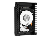 WD VelociRaptor WD2500HHTZ - Hårddisk - 250 GB - inbyggd - 3.5" - SATA 6Gb/s - 10000 rpm - buffert: 64 MB WD2500HHTZ