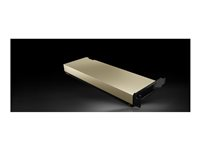 NVIDIA L4 - GPU-beräkningsprocessor - L4 - 24 GB - för P/N: HCIAF220C-M7SN, HCIAF240C-M7SN-FRE, HCINX220C-M8S, HCINX225C-M8SN, HCINX240C-M8E3S HCI-GPU-L4