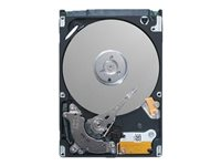 Dell - Hårddisk - 4 TB - inbyggd - 3.5" - SAS 12Gb/s - 7200 rpm - för PowerVault ME5012 (2.5"); PowerVault ME5012 (2.5") 161-BBOY