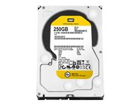 WD RE WD2503ABYZ - Hårddisk - 250 GB - inbyggd - 3.5" - SATA 6Gb/s - 7200 rpm - buffert: 64 MB WD2503ABYZ