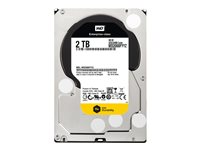 WD RE WD2000FYYZ - Hårddisk - 2 TB - inbyggd - 3.5" - SATA 6Gb/s - 7200 rpm - buffert: 64 MB - för My Cloud EX4 WD2000FYYZ