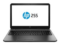 HP 255 G3 Notebook - 15.6" - AMD E1 - 6010 - 4 GB RAM - 500 GB HDD J0Y32EA#UUW
