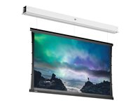 Da-Lite Tensioned DescenderPro - Projektorduk - motoriserad - 230 V - 112.99" (287 cm) - 16:9 - HD Progressive 1.1 Contrast - RAL 9016 10101640
