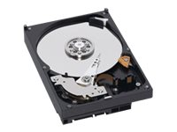 Dell - Hårddisk - 250 GB - inbyggd - SATA 1.5Gb/s - 7200 rpm 401-11766