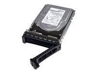 Dell - Hårddisk - 2.4 TB - hot-swap - 2.5" (i 3,5-tums hållare) - SAS 12Gb/s - 10000 rpm - för PowerEdge C6420 (3.5") 401-ABHS