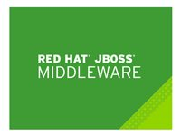 JBoss Data Grid - Premiumabonnemang (1 år) - 16 kärnor MW0935445