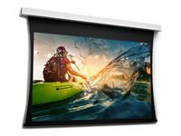 Da-Lite Tensioned DescenderPro - Projektorduk - takmonterbar - motoriserad - 88" (224 cm) - 16:9 - HD Progressive 1.3 - RAL 9016 10104650