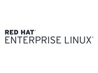 Red Hat Enterprise Linux - Premiumabonnemang (1 år) + 1 års support 24x7 - 2 uttag - 2 uttag - ESD G3J22AAE