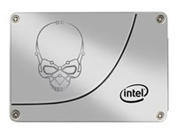 Intel Solid-State Drive 730 Series - SSD - 480 GB - inbyggd - 2.5" - SATA 6Gb/s SSDSC2BP480G4R5