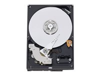 Dell - Hårddisk - 250 GB - inbyggd - 3.5" - SATA 6Gb/s - 7200 rpm - för OptiPlex 790 (DT, MT, SFF), 790 N-Series (3.5"), 990 (3.5"); Precision T1600 (3.5") 400-23044