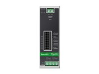 Schneider Electric Easy UPS - UPS (kan monteras på DIN-skena) - 10A - DC 24 V - 240 Watt - utan batteri - utgångskontakter: 1 - metallgrå BVS240XDPDR