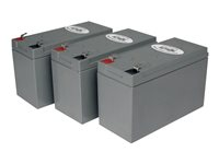 Tripp Lite RBC53L - UPS-batteri - 450 Wh RBC53L