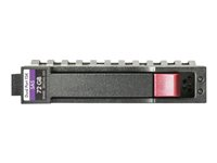 HPE Dual Port Enterprise - Hårddisk - 900 GB - hot-swap - 2.5" SFF - SAS 6Gb/s - 10000 rpm - för HPE P2000, P2000 G3; Modular Smart Array 1040, 2040, 2040 10Gb, P2000 2.5-in, P2000 G3 C8S59A