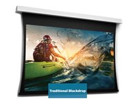 Da-Lite Tensioned DescenderPro - Projektorduk - takmontering - motoriserad - 230 V - 112.99" (287 cm) - 16:9 - HD Progressive 1.3 - RAL 9016 10104653