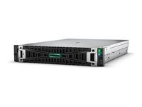 HPE ProLiant DL385 Gen11 - kan monteras i rack EPYC 9015 3.6 GHz - 64 GB - SSD 2 x 480 GB P81842-425