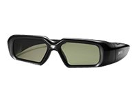 BenQ 3D Glasses D4 - 3D-glasögon för projektionsbildskärm - aktiv slutare 5J.J7L25.002